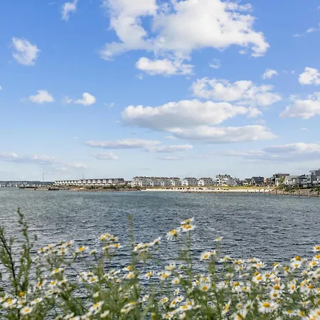 Mole57 * 올페니츠